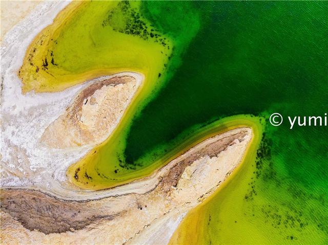 世界上仅有的水上雅丹就在我国，但几乎无人知晓