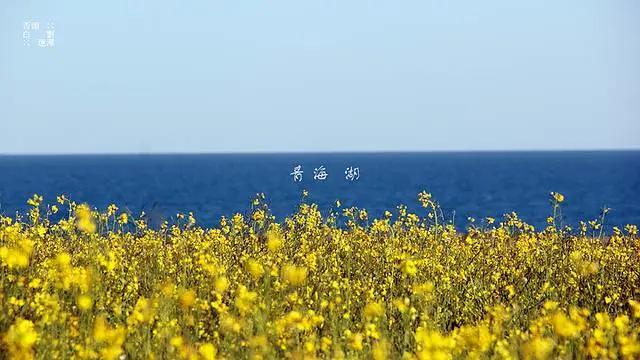 看一眼就莫名心动，这里是吉乃尔湖