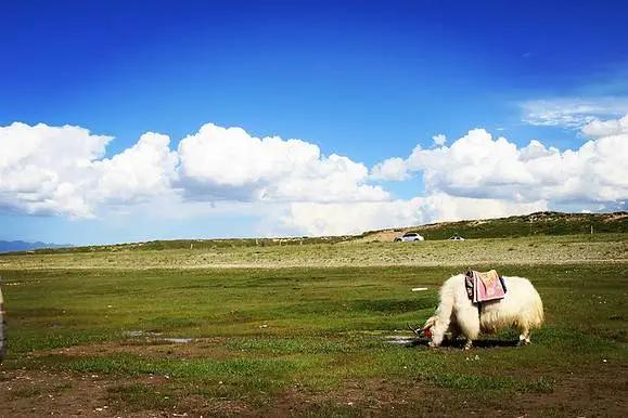 看一眼就莫名心动，这里是吉乃尔湖