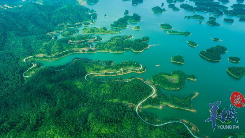 航拍广东之阳江：为海而生的城市