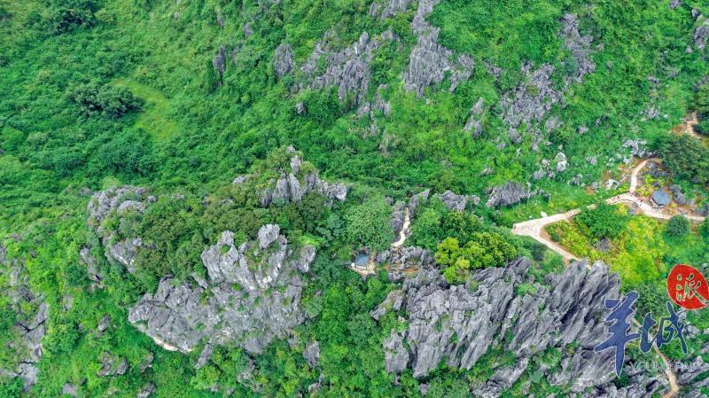 航拍广东之阳江：为海而生的城市