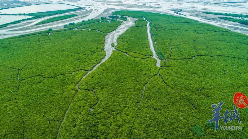 航拍广东之阳江：为海而生的城市