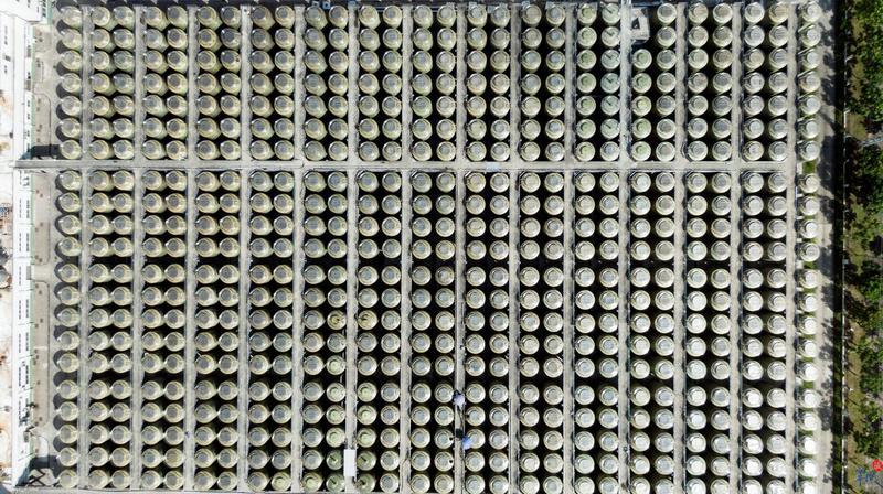 航拍广东之阳江：为海而生的城市