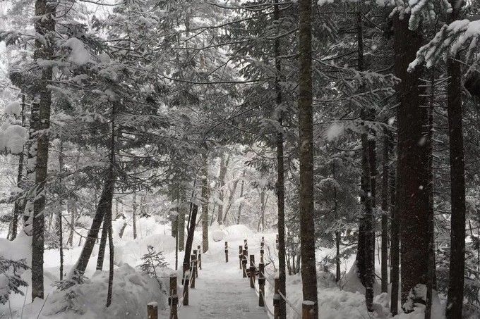 下了雪的长白山，一秒进入童话世界