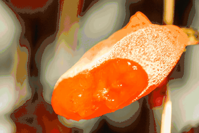 年度必吃！富平吊柿饼，咬一口，有流心