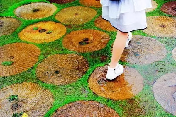 随州千年银杏谷最佳观赏期到了，此时不来更待何时