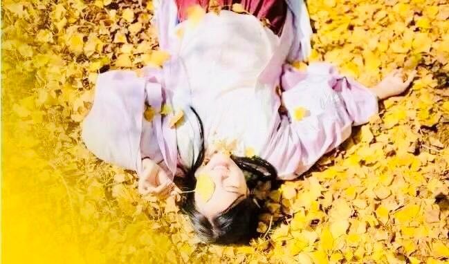 随州千年银杏谷最佳观赏期到了，此时不来更待何时