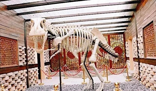 随州千年银杏谷最佳观赏期到了，此时不来更待何时