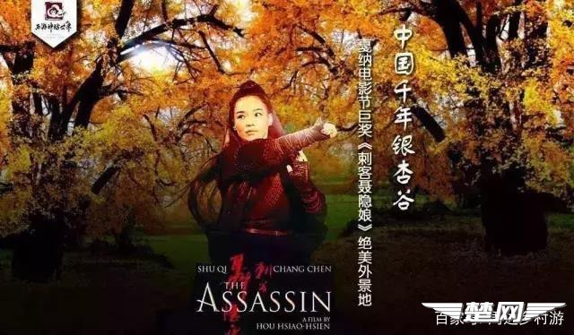 十里金黄，出门劫“色”，湖北随州藏了一个千年银杏谷！