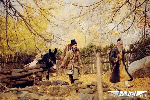 十里金黄，出门劫“色”，湖北随州藏了一个千年银杏谷！