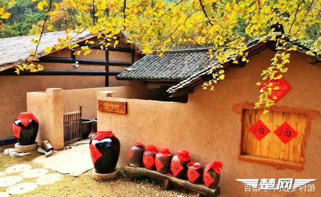 十里金黄，出门劫“色”，湖北随州藏了一个千年银杏谷！