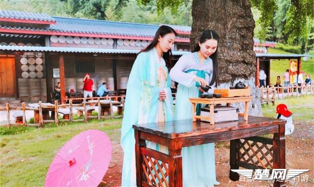 十里金黄，出门劫“色”，湖北随州藏了一个千年银杏谷！