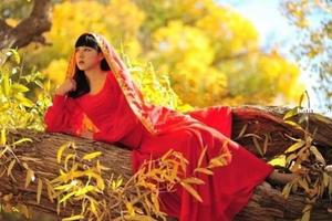 国庆A线-额济纳看胡杨丨9月30日和10月8日两期连续第9年发团•用生命演绎秋色•额济纳胡杨精华8日游武汉版