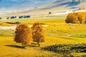 国庆B线-坝上赏秋丨9月24/30日连发2期越野车深入乌兰布统大草原-木兰围场-浑善达克沙地-金山岭长城-古北水镇武汉版