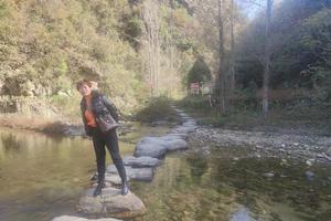 11月13日发团自驾-每周休闲丨满地尽披黄金甲！来茅箭区大沟村赏千年银杏群