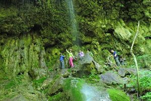 驴友游-每周徒步丨11月21日发团探秘蒿坪镇女花寨 