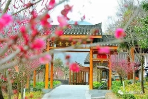 2月26日发团-苦驴子赏花之一丨太和梅花谷+西关印象1日游99元/人