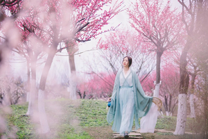 苦驴子赏花之二-4月3日最后一期丨房县樱花岛+方滩堵河画廊一日游69元/人