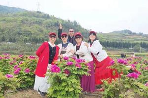 苦驴子赏花之五-4月10日发团丨郧西牡丹园+郧阳解放军青年林一日游79元/人