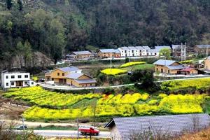 五一A线-纯玩游-5月1日/3日丨竹溪桃花岛夯土小镇休闲一日游79元/人