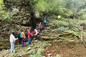 11月6日-探秘黑龙洞-驴友游丨探秘野生黑龙洞+千家坪峡谷穿越一日游79元/人