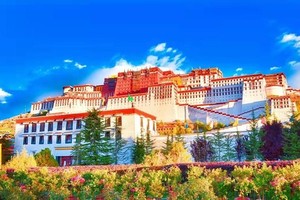 飞哥定制2-西藏自驾318丨7月8/7月29日发团丨川进青出经典318西藏之旅！