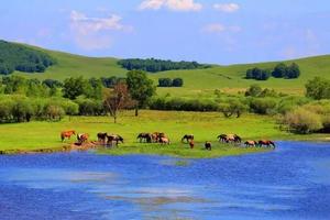 热卖户外行6-乌兰布统+金山岭长城+越野车半天穿越+蒙古文化园+古北水镇8日深度游 