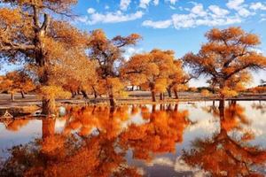 9月30日/8日两期-火车团-额济纳B丨金秋最美胡杨林+巴丹吉林沙漠+居延海+黑城+丹霞地貌品质纯玩  7日游