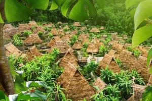 独家02-秘境临沧世界佤邦-4月13日发团丨翁丁村+哀牢山+景迈山+鲁史古镇+西盟龙摩爷+石门关+翁基古寨+古墨村9日游