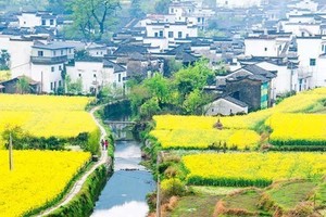 团队定制-婺源花开-半摄影丨婺源篁岭-望仙谷-景德镇+三清山五日游