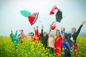 清明C线-4月5日/6日发团丨习家店赏三花一日游活动99元/人