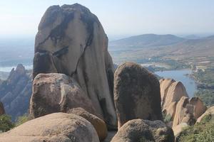 清明D线-4月5日发团纯玩游丨嵖岈山郁金香花海+赊店古镇2日游399元/人