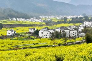 独家长线003-3月23发团-婺源花开-摄影团丨花开婺源+三清山+望仙谷+景德镇六日游