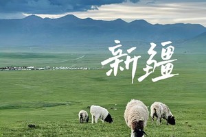 7月17日/20日可散拼-北疆大环线|天池+喀纳斯+可可托海+魔鬼城+赛里木湖+那拉提+巴音布鲁克+国际大巴扎11日游