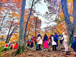 10月26日-十堰+襄阳-层林尽染光雾山丨中国红叶第一叶“光雾山”看红叶4日游1180元/人