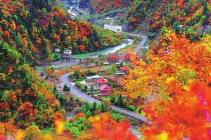 11月2日最后1期-大巴摄影团-秋游神农架丨行摄秋景-秋游神农架-赏醉美红叶-古民居-摄影纯玩2日游