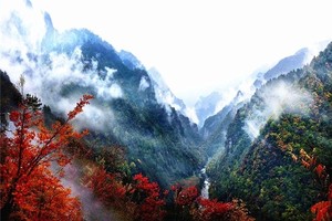 11月2日最后1期-大巴摄影团-秋游神农架丨行摄秋景-秋游神农架-赏醉美红叶-古民居-摄影纯玩2日游