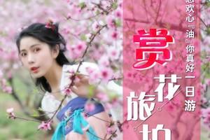 苦驴子赏花之四-3月23日-特价79元含餐丨郧西赏樱+五峰看油菜花1日游