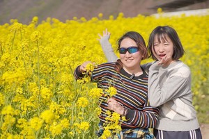 苦驴子赏花之五-3月27/30日-特价79元丨五峰东西峰+方滩沉潭河看油菜花1日游