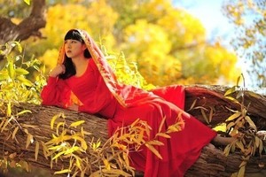 10月9日大巴团-额济纳胡杨林A丨连续第13年发团•用生命演绎秋色•额济纳胡杨精华游