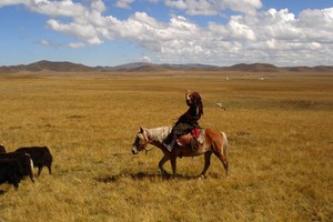 阿尔山+呼伦贝尔秋色7日游