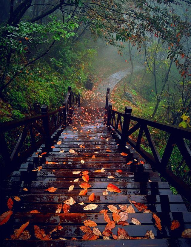 天上人间柴埠溪 宜昌五峰百里幽峡柴埠溪探奇行记