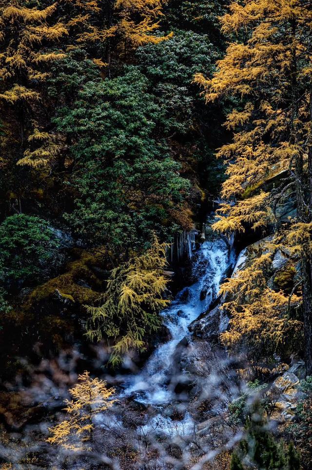 稻城亚丁为什么被认为不去后悔去了也后悔？