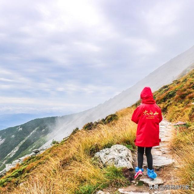 看完这五条，不知道你还敢不敢来宝鸡太白山！胆小请绕路