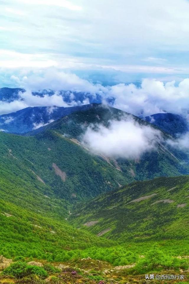 看完这五条，不知道你还敢不敢来宝鸡太白山！胆小请绕路