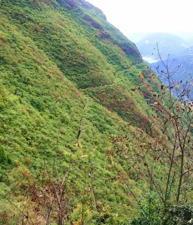 世界上最危险的绝壁天河，就藏在湖北恩施，比郭亮村更惊艳奇绝！