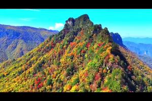 神农架秋景