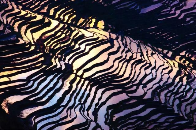 越是冬天，越不能不去元阳梯田！