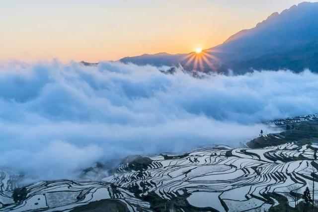 越是冬天，越不能不去元阳梯田！