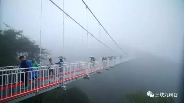 三峡九凤谷130米长玻璃桥等你来挑战！爱我，就抱我过去！哈哈……